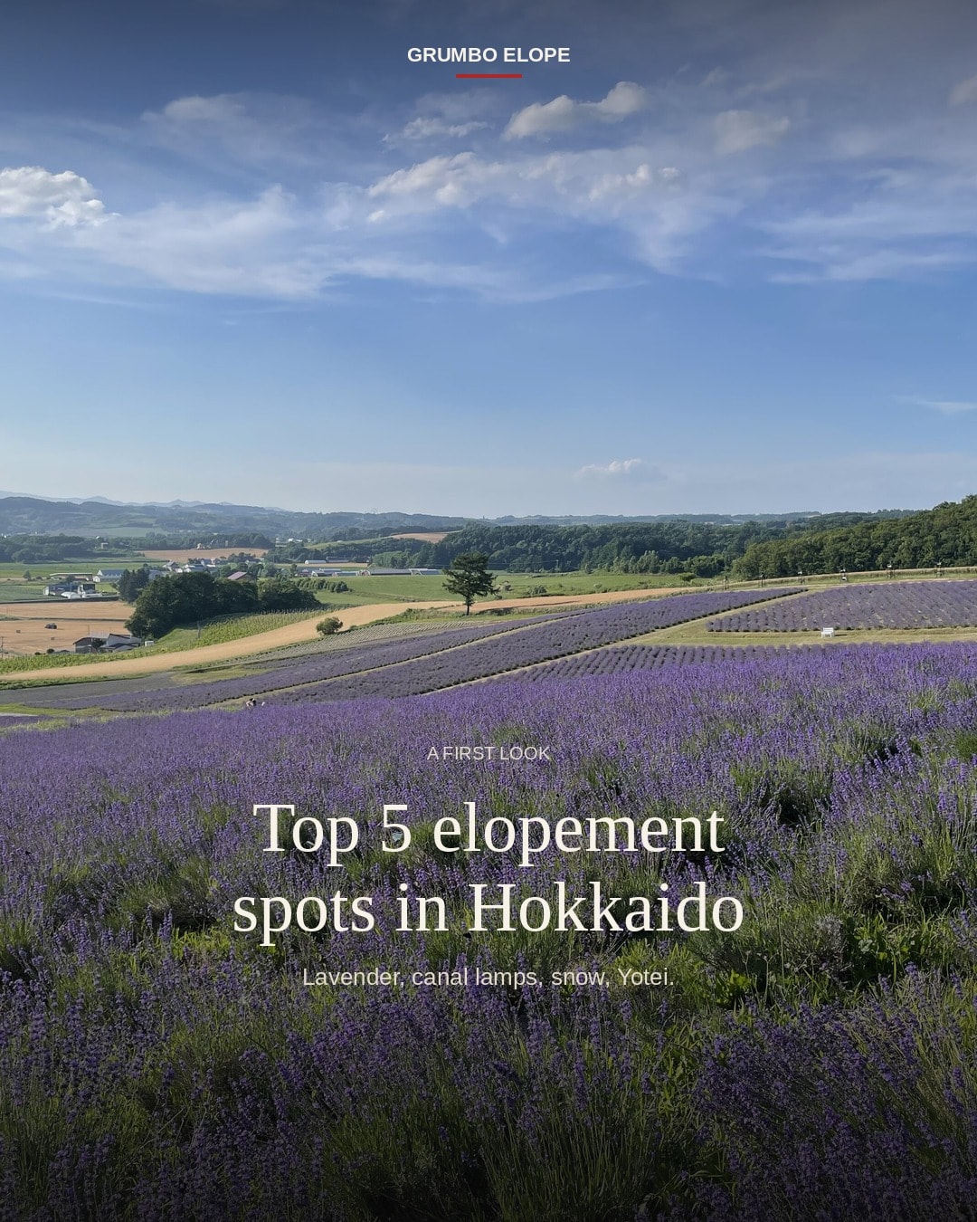 Hokkaido lavender and sky