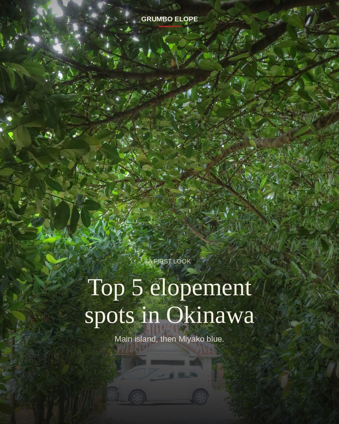Okinawa coast and trees
