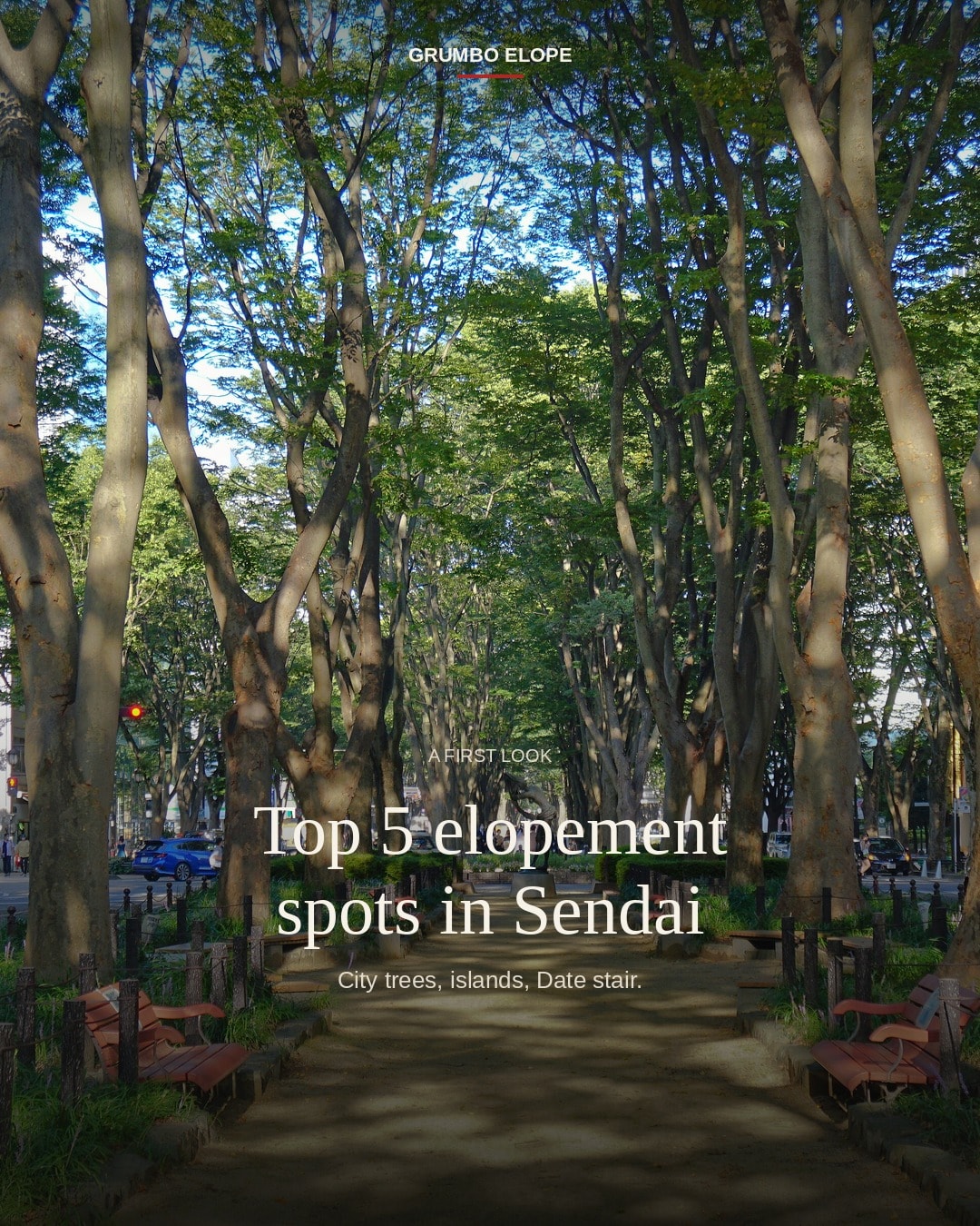 Sendai trees and path